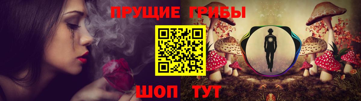 Ялта  Галлюциногенные грибы GOLDEN TEACHER  Вход с VPN  Галлюциногенные грибы прущие грибы 